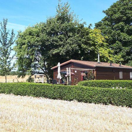 Villa Bie Oans Oefje Lewedorp Esterno foto
