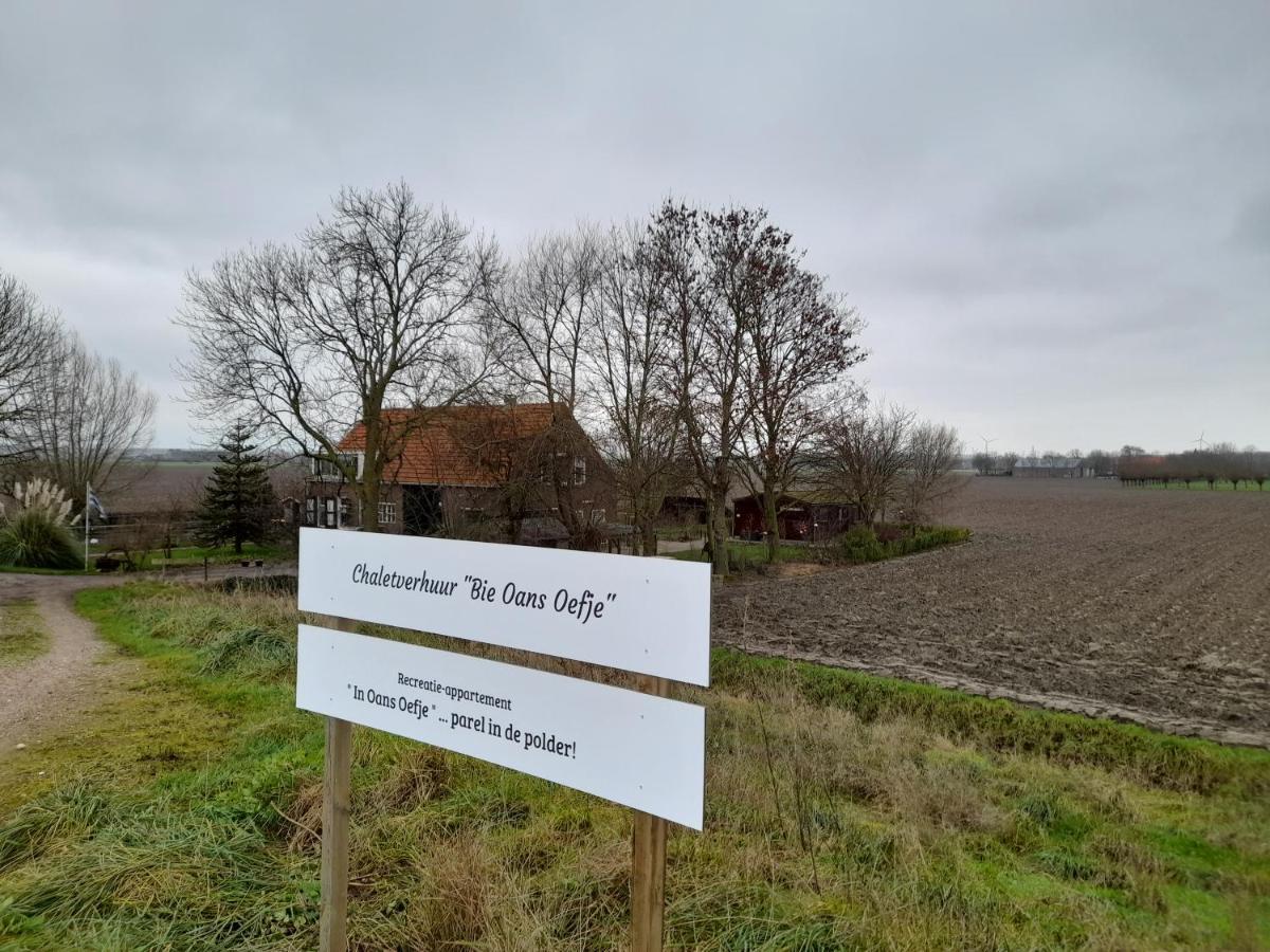 Villa Bie Oans Oefje Lewedorp Esterno foto