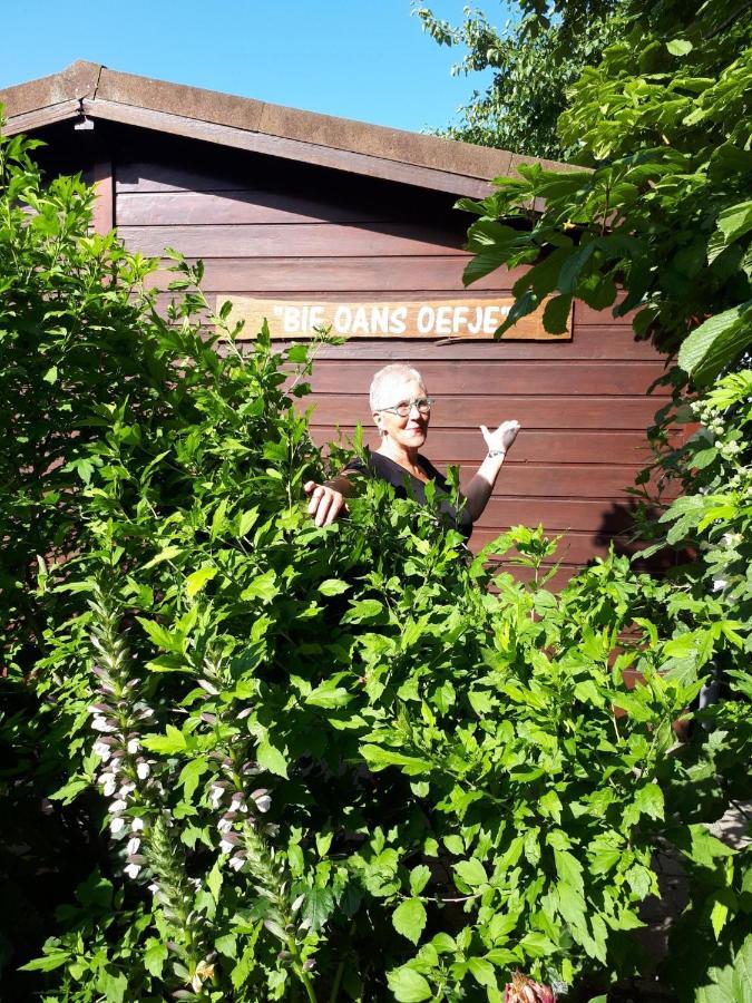 Villa Bie Oans Oefje Lewedorp Esterno foto