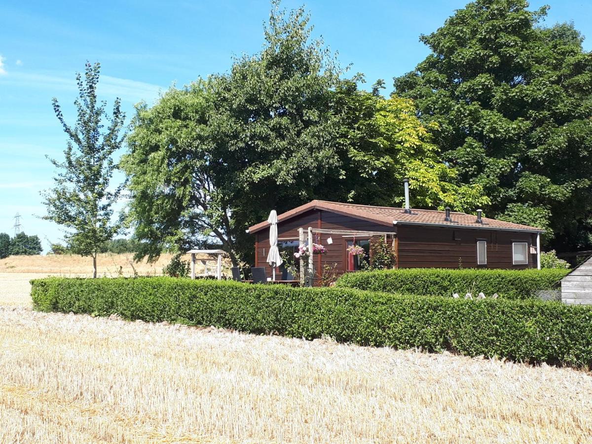 Villa Bie Oans Oefje Lewedorp Esterno foto