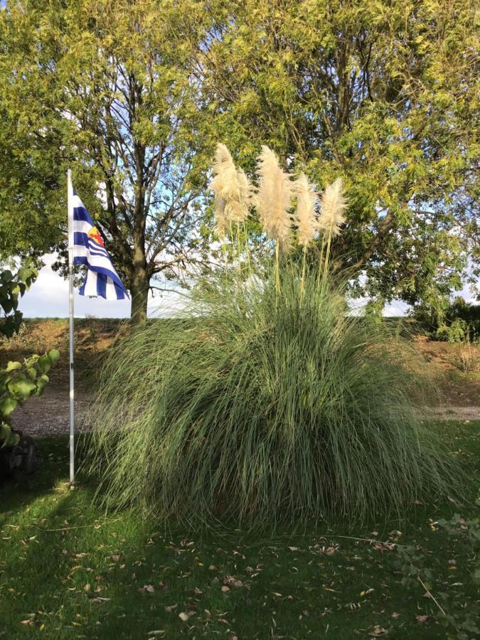 Villa Bie Oans Oefje Lewedorp Esterno foto