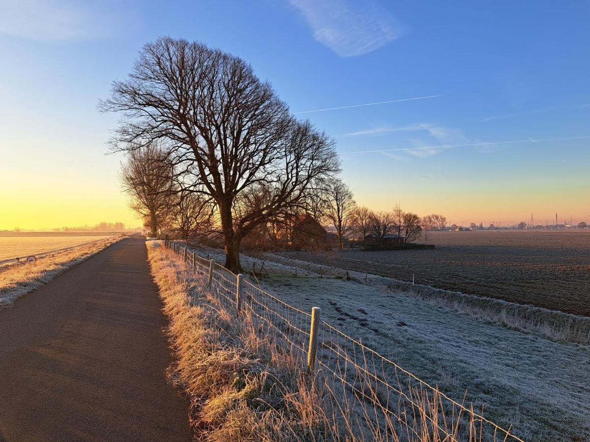 Villa Bie Oans Oefje Lewedorp Esterno foto