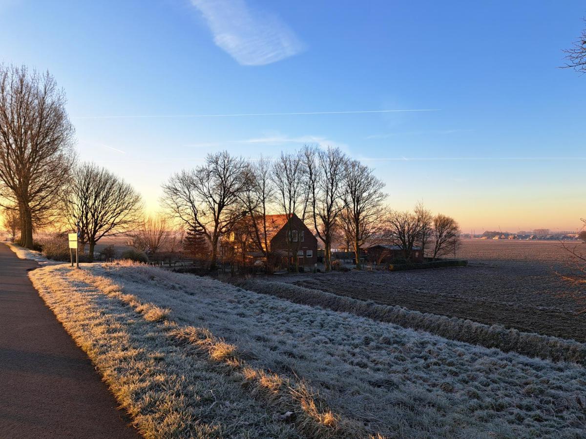 Villa Bie Oans Oefje Lewedorp Esterno foto