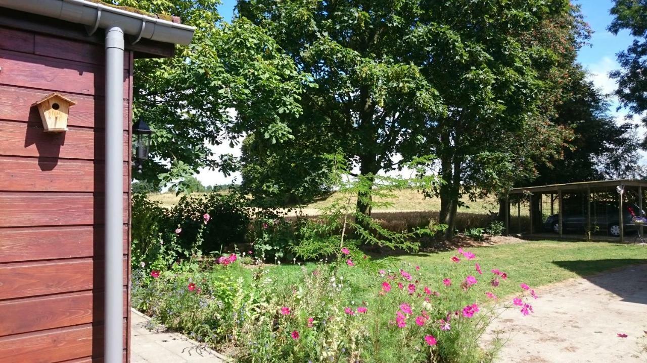 Villa Bie Oans Oefje Lewedorp Esterno foto