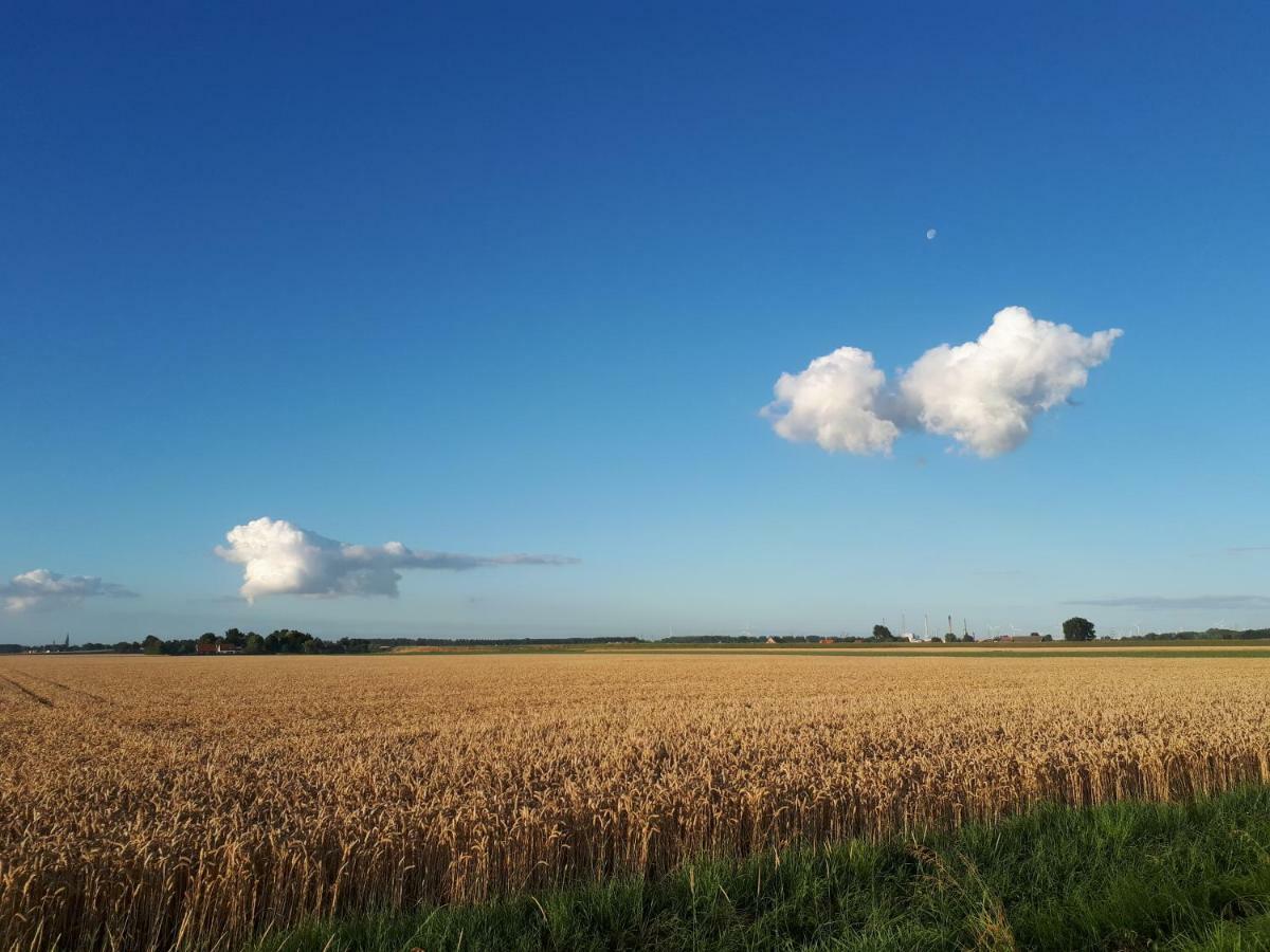 Villa Bie Oans Oefje Lewedorp Esterno foto